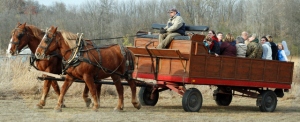 Horse-drawn wagon rides